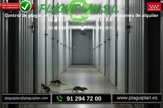 control-de-plagas-en-trasteros-y-guardamuebles
