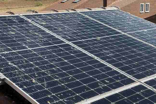 palomas-bajo-las-placas-fotovoltaicas