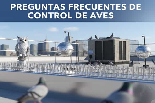 Preguntas frecuentes de control de aves