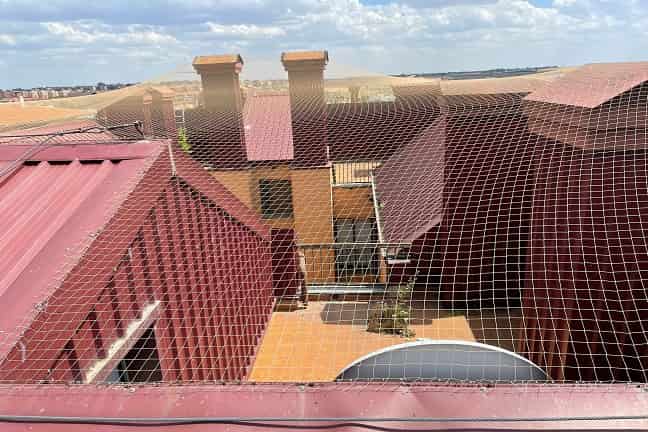 Soluciones efectivas con redes antiaves