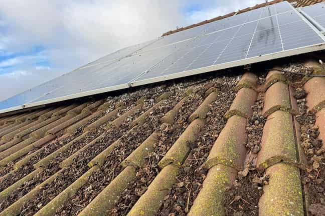 excrementos-palomas-placas-solares