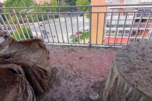 palomas en balcón de vivienda urbana