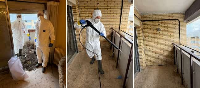 Desinsectación y limpieza de excrementos de palomas del interior del balcón