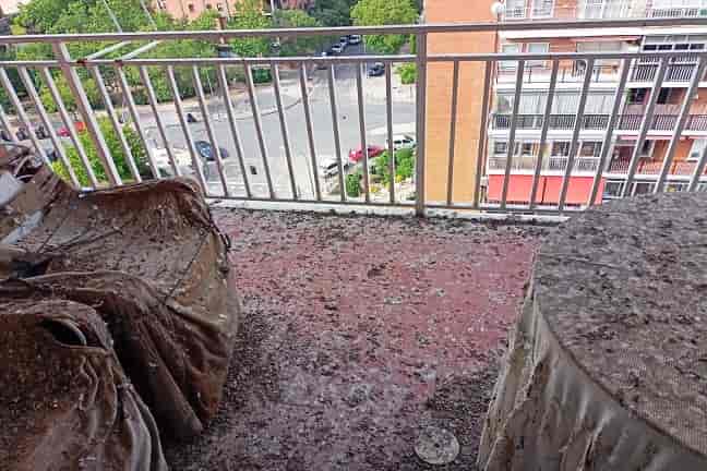 palomas en balcón de vivienda urbana