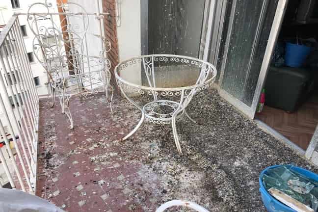 excrementos-palomas-interior-terraza-o-balcón