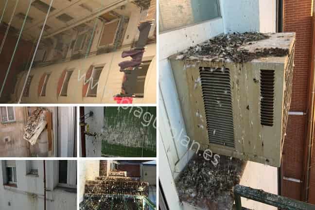 excrementos-palomas-patio-interior