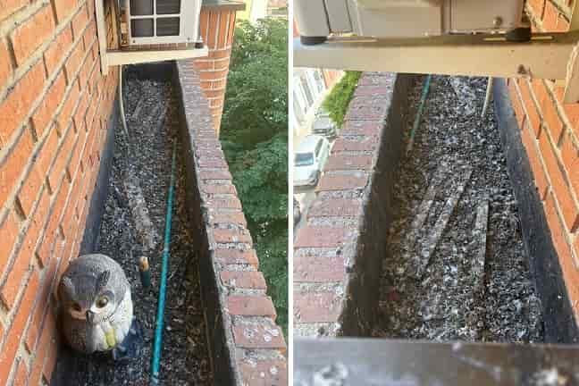 plaga-palomas-jardinera-terraza