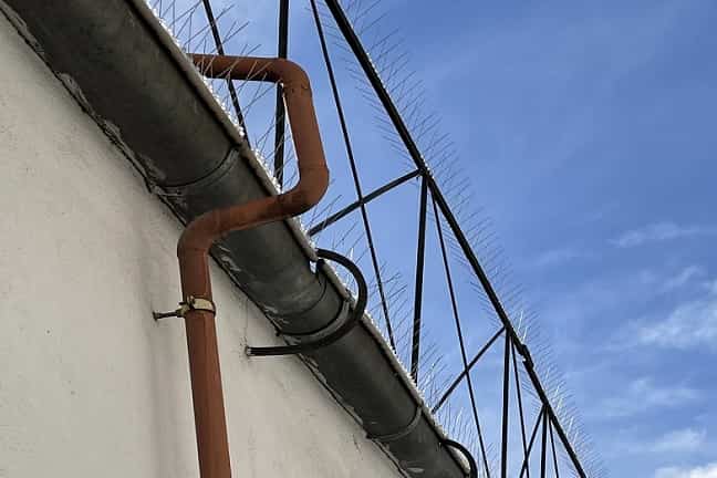 protección-bajantes-contra-palomas